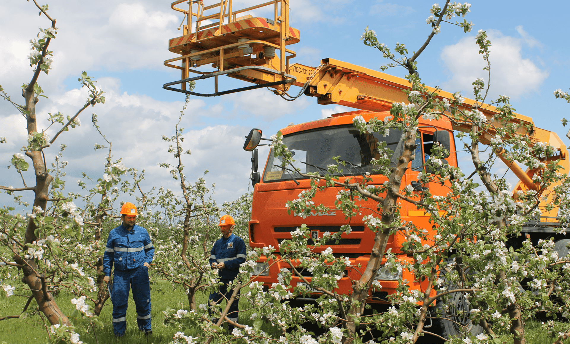 Рынок акций и капитализация компании
