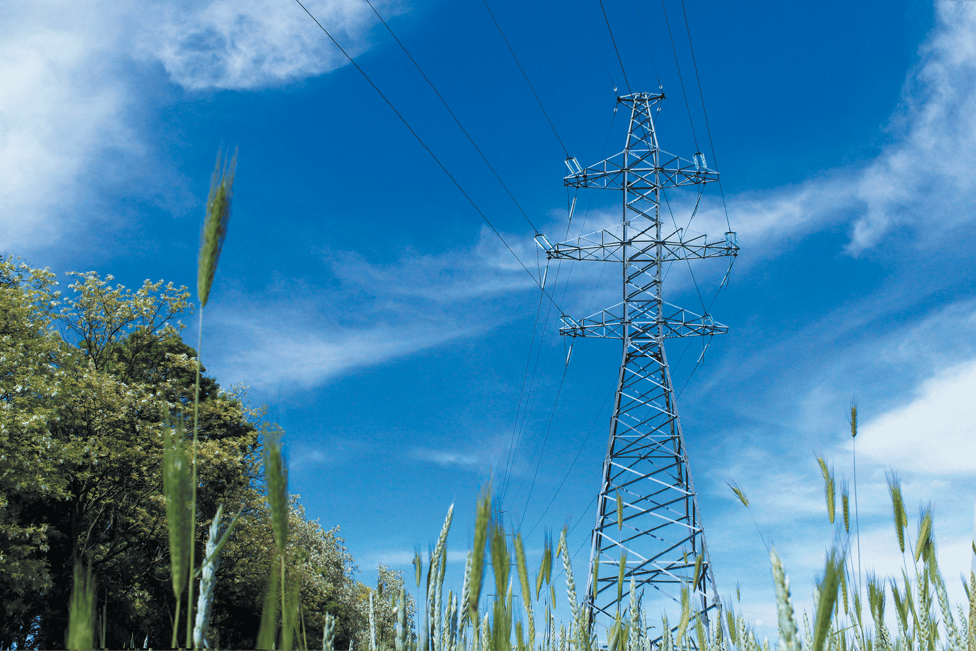 РОССЕТИ КУБАНЬ