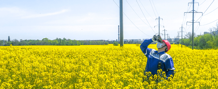 ПАО «Россети Кубань»